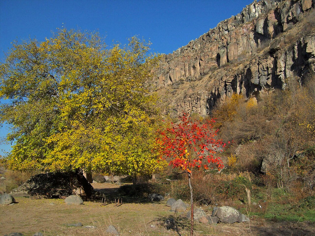 Hike from Saghmosavank to Hovhanavank Monastery