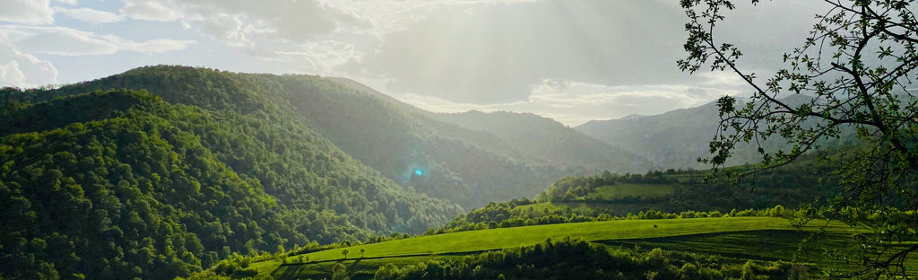 Երևան – Ծաղկաձոր – Ճոպանուղի – Կեչառիս – Սևան,
Սևանավանք – Ճաշ – Դիլիջան – Հին Դիլիջան – Հաղարծին – Երևան